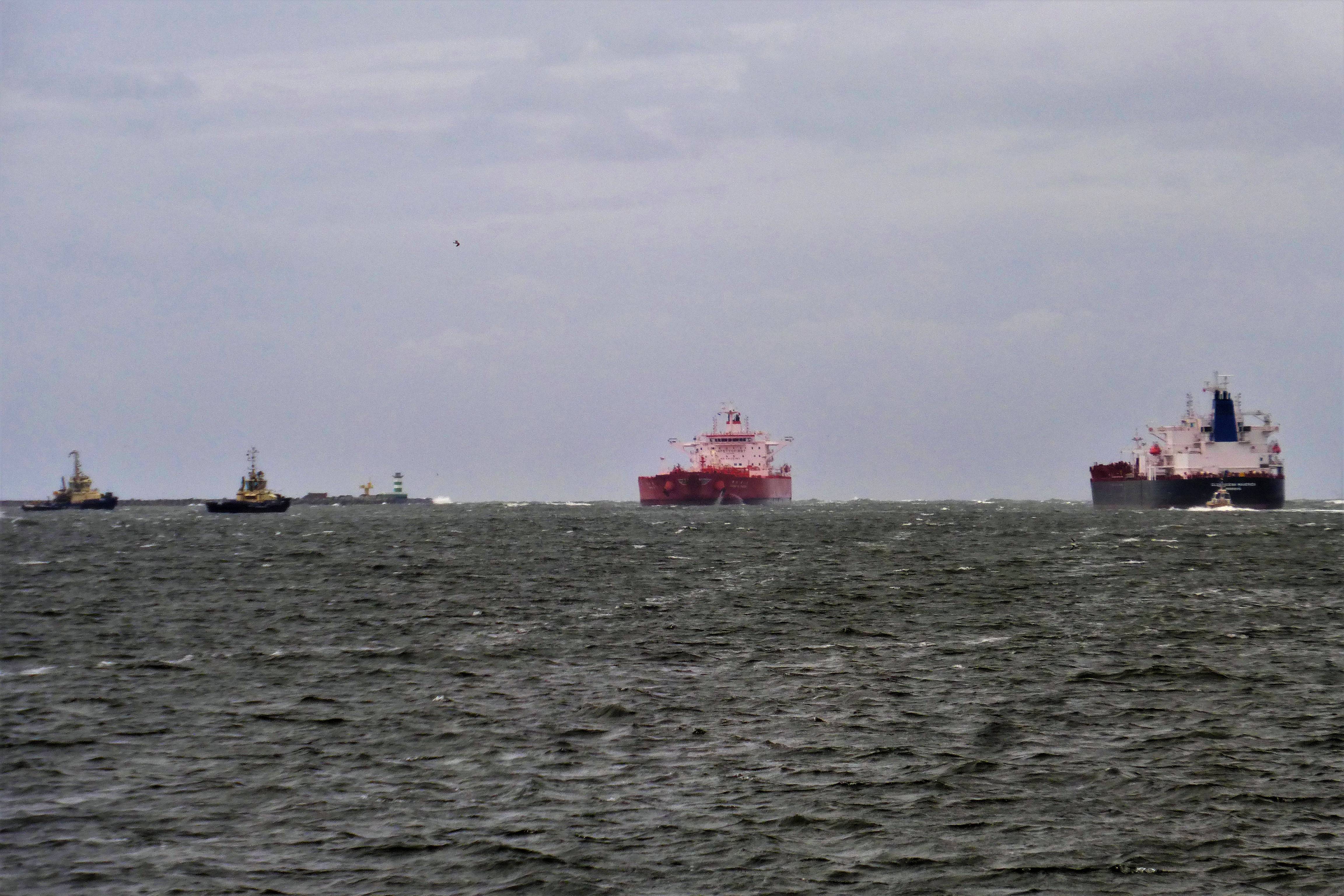 Pieren IJmuiden   16-08-21 